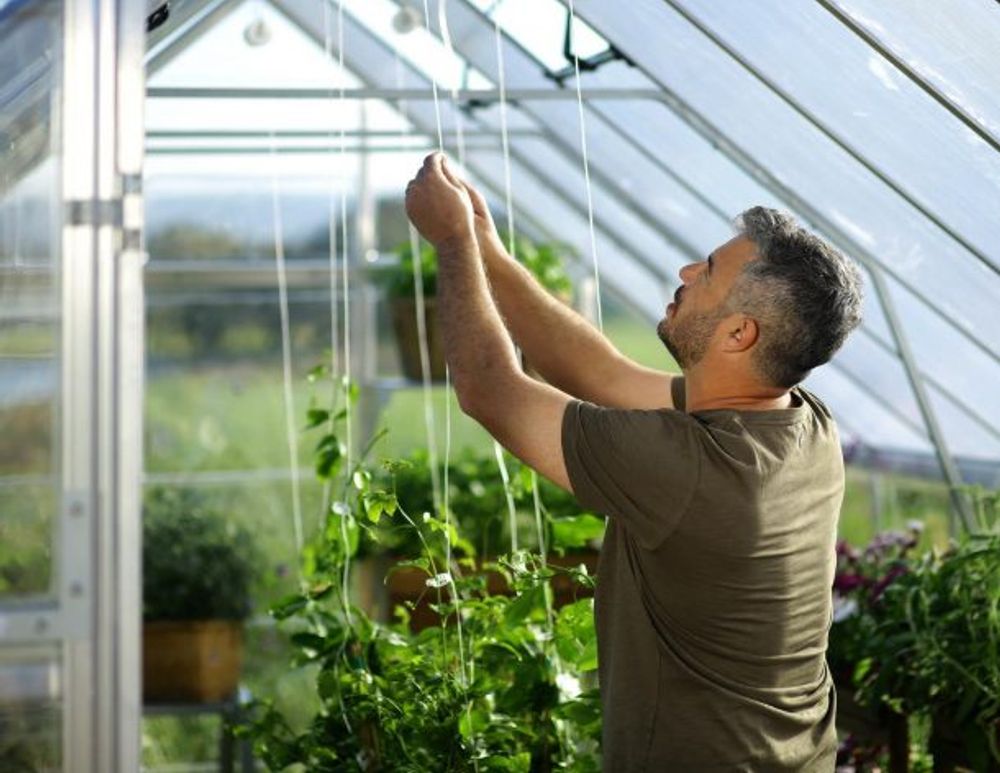 Canopia by Palram Balance drivhus 724 X 304 cm Sølv