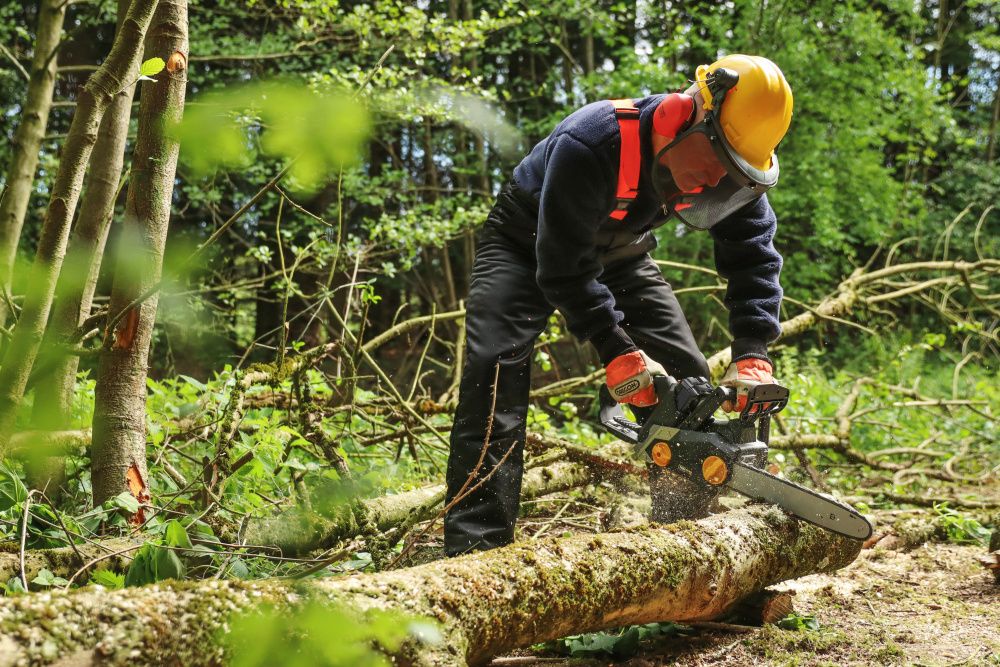 Texas motorsag batteri 40V CSX4000 u/bat og lader 90066663